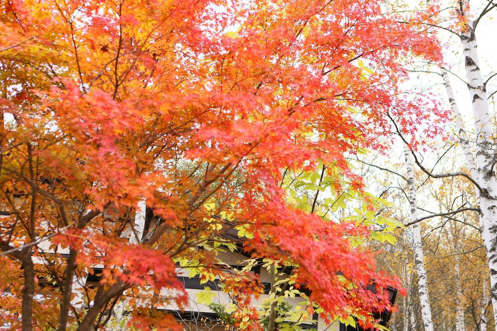 Hotel Konashi No Yu Sasaya Matsumoto Esterno foto
